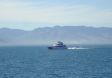 Catamarano da crociera di South Sea Cruises